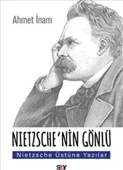 Nietzsche’nin Gönlü : Nietzsche Üstüne Yazılar kapağı