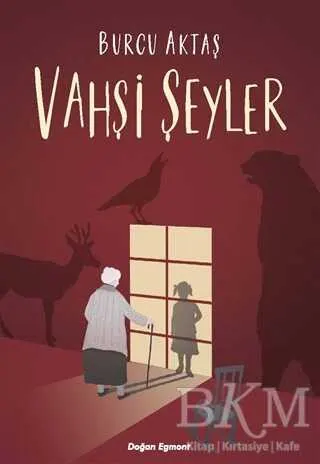 Vahşi Şeyler kapağı