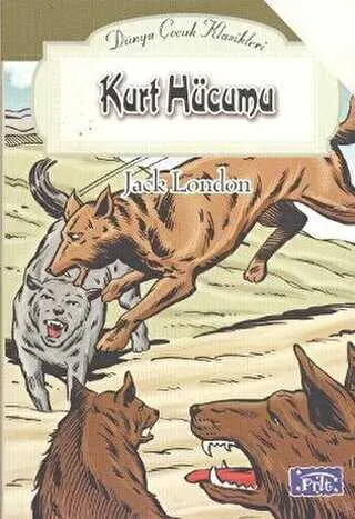 Kurt Hücumu kapağı