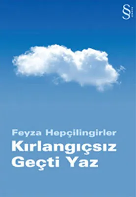 Kırlangıçsız Geçti Yaz kapağı