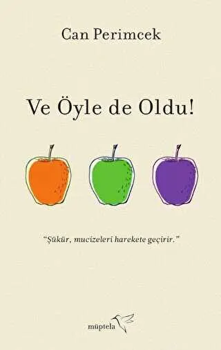 Ve Öyle de Oldu! kapağı