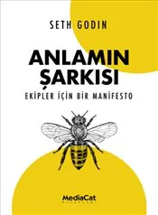 Anlamın Şarkısı kapağı