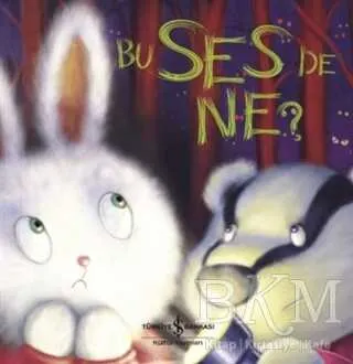 Bu Ses de Ne? kapağı