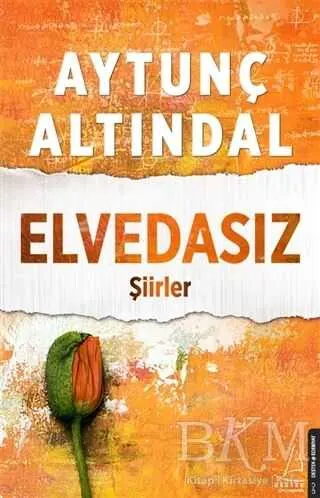 ELVEDASIZ kapağı