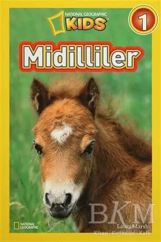 Midilliler kapağı