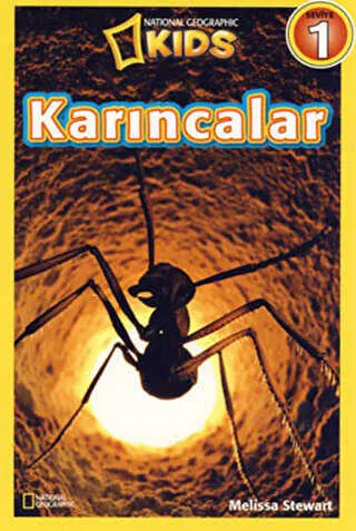 Karıncalar - Seviye 1 kapağı