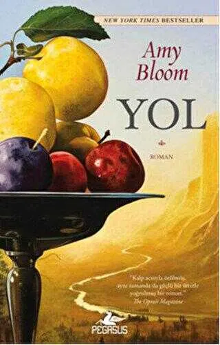 YOL kapağı
