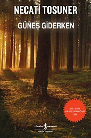 GÜNEŞ GİDERKEN kapağı