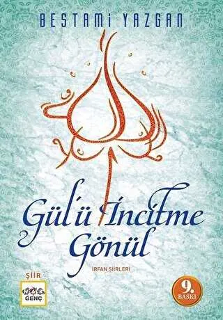 Gülü İncitme Gönül kapağı