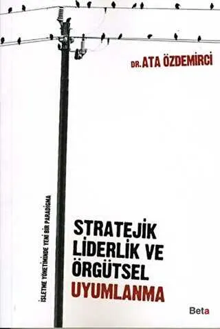 Stratejik Liderlik ve Örgütsel Uyumlanma kapağı