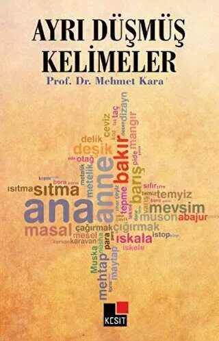 Ayrı Düşmüş Kelimeler kapağı