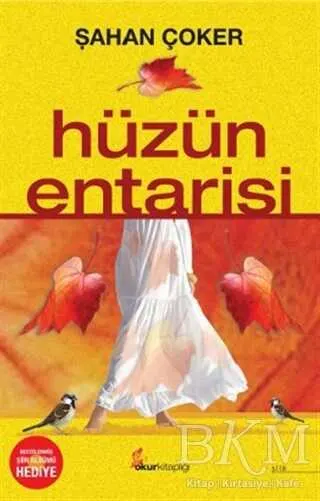 Hüzün Entarisi kapağı