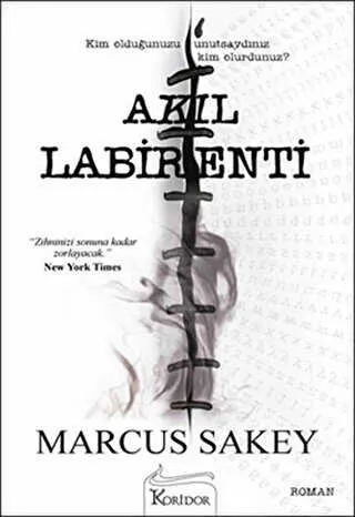 Akıl Labirenti kapağı