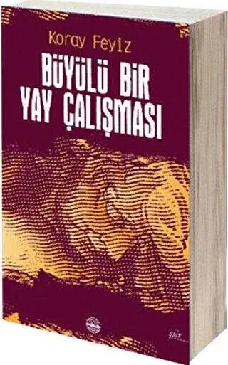 Büyülü Bir Yay Çalışması kapağı