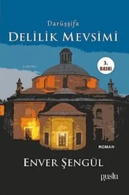 Darüşşifa - Delilik Mevsimi kapağı