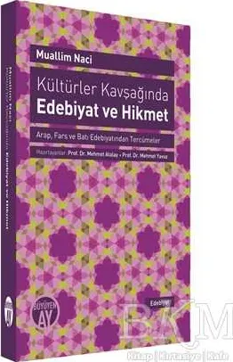 Kültürler Kavşağında Edebiyat ve Hikmet kapağı