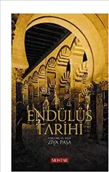 Endülüs Tarihi : Ciltli kapağı