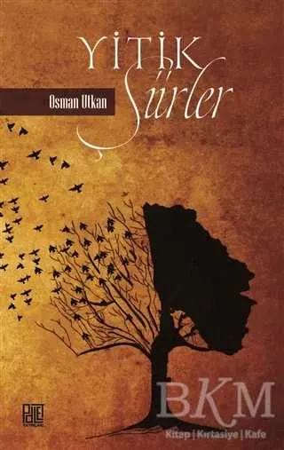 Yitik Şiirler kapağı