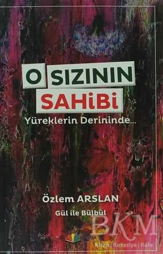 O Sızının Sahibi kapağı