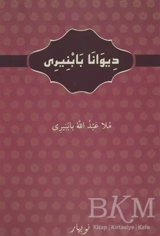 Diwanab Babniri kapağı