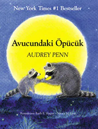 Avucundaki Öpücük kapağı