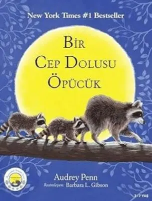 Bir Cep Dolusu Öpücük kapağı