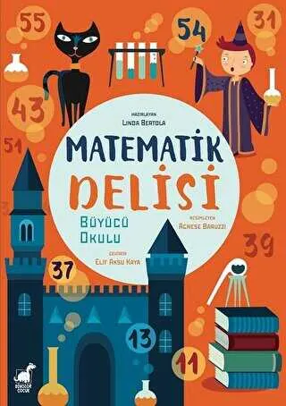 Matematik Delisi kapağı