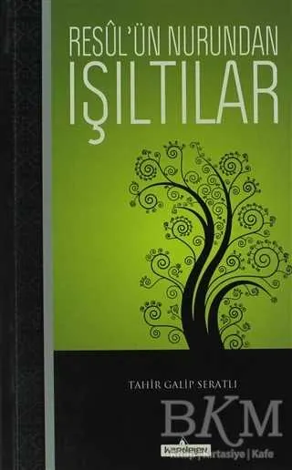 Resul’ün Nurundan Işıltılar kapağı