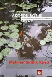 Akordu Bozuk Sevda kapağı