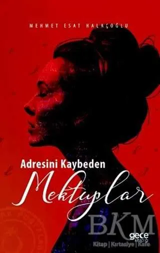 Adresini Kaybeden Mektuplar kapağı