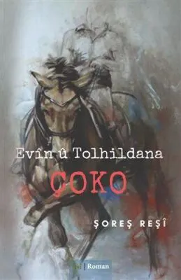 Evin U Tolhildana Çoko kapağı
