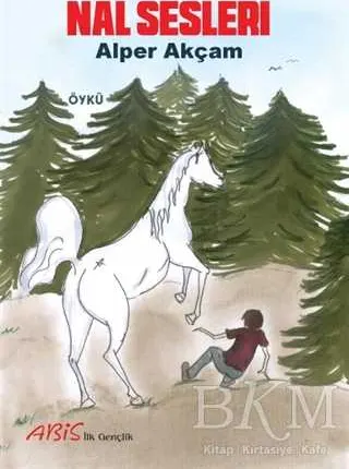 Nal Sesleri kapağı