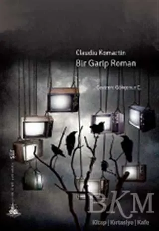 Bir Garip Roman kapağı