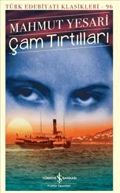 Çam Tırtılları kapağı