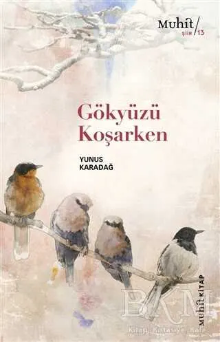 Gökyüzü Koşarken kapağı