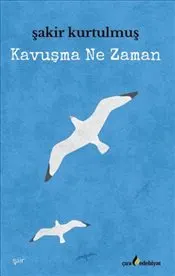 Kavuşma Ne Zaman? kapağı