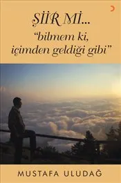 Şiir Mi "Bilmem Ki İçimden Geldiği Gibi" kapağı