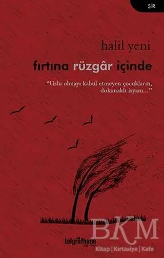 Fırtına Rüzgar İçinde kapağı