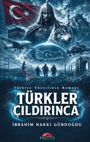 Türkler Çıldırınca : Türkiye Yüzyılının Romanı kapağı