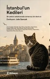 İstanbul'un Kedileri kapağı