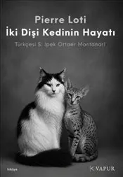 İki Dişi Kedinin Hayatı kapağı