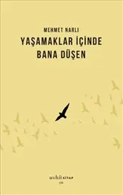 Yaşamaklar İçinde Bana Düşen kapağı