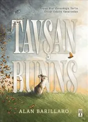 Tavşan Bunns : Ciltli kapağı