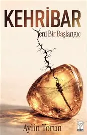 Kehribar : Herşey Böyle Başladı kapağı