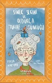 Sinek Sekine ve Oldukça Tuhaf Günlüğü kapağı