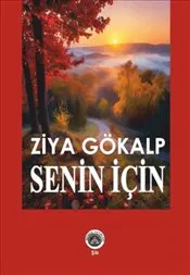 Senin İçin kapağı