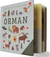 Say Bul Eğlen Orman kapağı