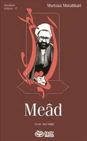 Mead kapağı