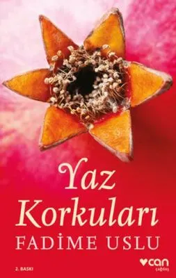 Yaz Korkuları kapağı