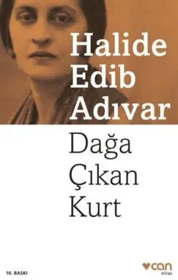 Dağa Çıkan Kurt kapağı